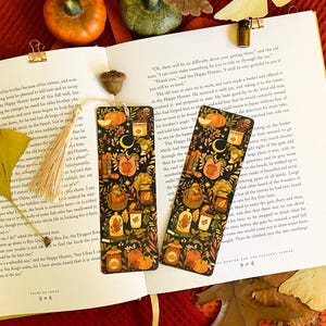 Segnalibro zucca / Accessori per libri, Segnalibro illustrato, Lettura, Regalo per amanti dei libri, Segnalibro di carta, Segnalibro lunare, Accessorio per la lettura, Diario