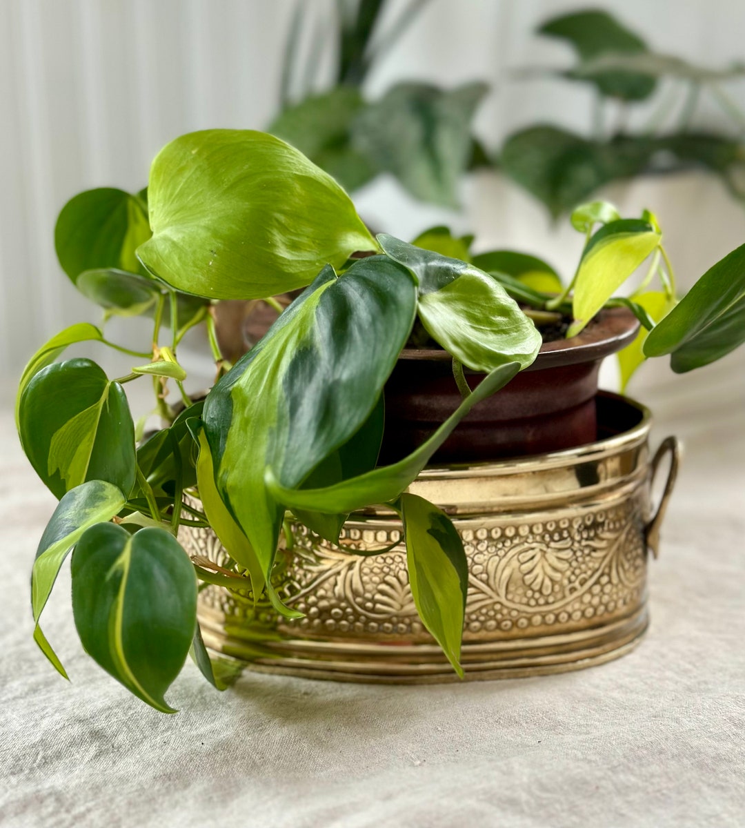 Vintage Embossed Brass Planter Oval, Handles, Boho, Mid Sized Etsy