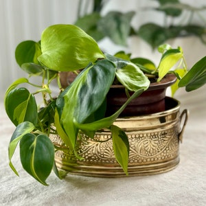 Vintage Embossed Brass Planter Oval, Handles, Boho, Mid Sized