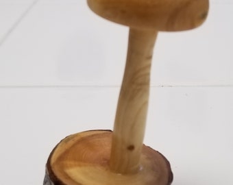 Small Mushroom, Green Oak