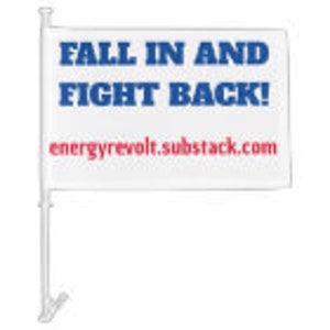 Może przedstawiać: Biała flaga samochodowa z niebieskim tekstem, który brzmi "FALL IN AND FIGHT BACK!" i adresem strony internetowej "energyrevolt.substack.com" w czerwonym kolorze.