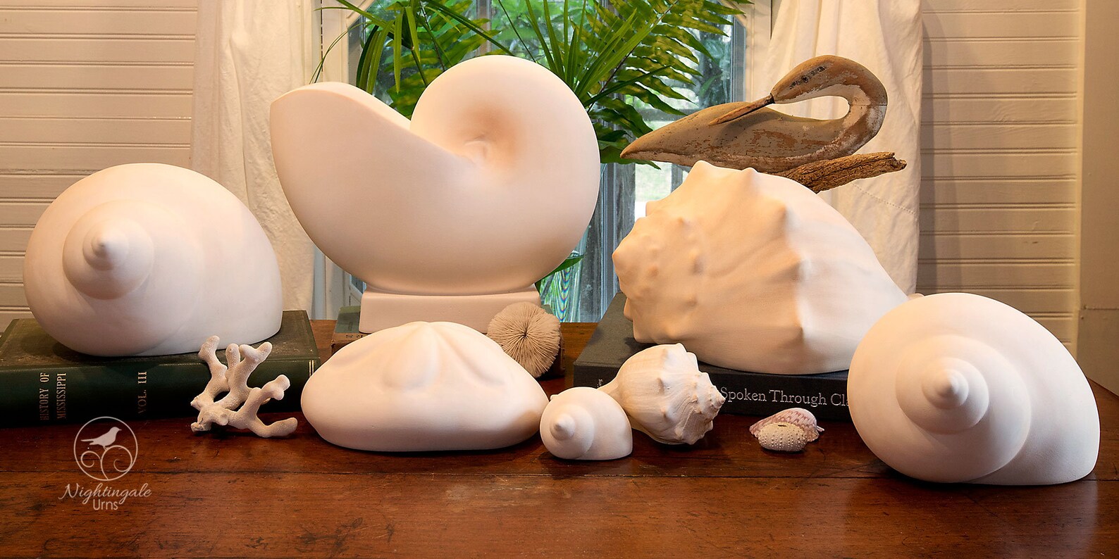 Cremation Urn Nautilus Seashell Memorial for Adult Human Ashes Large N275 Etsy