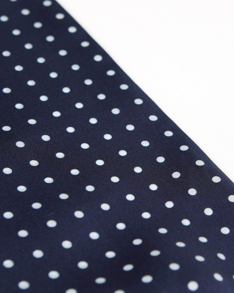 The Westminster Ascot Mens Navy Blue Polka Dot Silk Ascot Tie