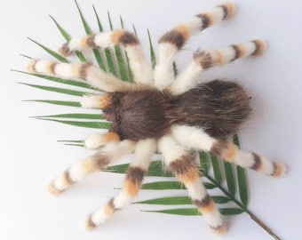 Gentle Tarantula OOAK Spider Plush Realistic Stuffed Soft Wall Mount Faux Taxidermy Oddity Posable Art Doll Articulated