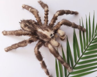 Tarantula Spider Faux Taxidermy Oddities