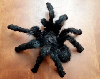 Gothic Art Doll Spider Tarantula Horror Scary Black Macabre Art Witch Home Decor Plush Monster Oddities Curiosities