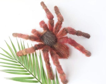 Spider Soft Sculpture Wall Decor Tarantula Faux Taxidermy Oddities Posable Art Doll Insect