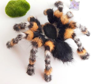 Entomology Gift Taranrula Spider Fluffy Posable Art Doll Plush Monster Realistic Stuff Animal Prank Soft Mount Taxidermy Faux Insect Toys