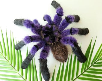 Realistic Artificial Spider Insect Film Prop Toy Purple Plush Tarantula Stuff Animal Art Doll Soft Mount Taxidermy Faux Bugs