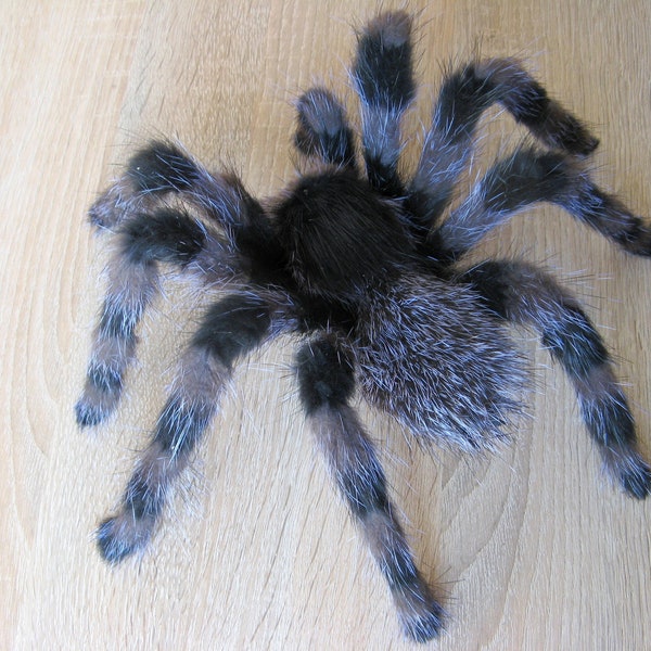 Lifelike Spider not Framed Realistic Fake Tarantula Plush Sculpture Monster Art Doll Oddities Curiosities Insect