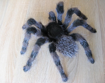 Lifelike Spider not Framed Realistic Fake Tarantula Plush Sculpture Monster Art Doll Oddities Curiosities Insect