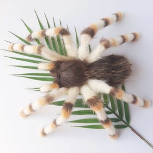 May include: A plush toy spider with brown and white fur. The spider has eight legs and is sitting on a green palm leaf.
