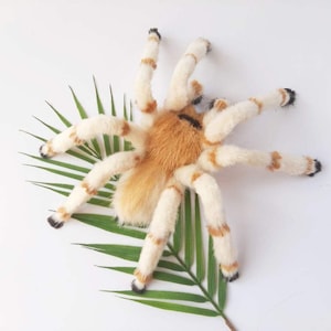 May include: A plush, handmade spider toy with a tan and cream color scheme. The spider has eight legs with brown stripes and black tips. It rests on a green palm leaf against a white background.