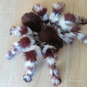 Spider Plush- Art Doll Creature- Plush Wall Mount- Realistic Stuffed Animals- Insect Toy- Ooak Plush Plushie Plushies Pose Art Doll Handmade