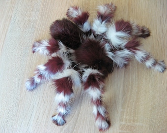 Spider Plush- Art Doll Creature- Plush Wall Mount- Realistic Stuffed Animals- Insect- Ooak Plush Plushie Plushies Pose Art Doll Handmade