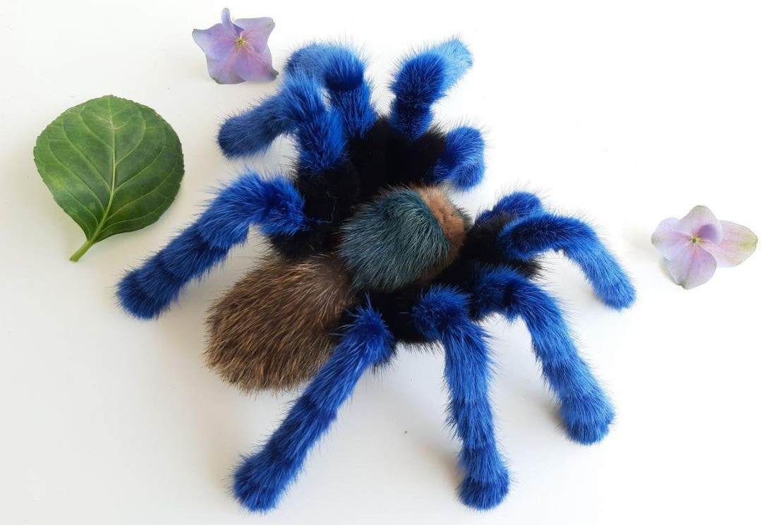 Soft Mount Taxidermy Spider Plush Faux Taxidermy Greenbottle Blue