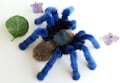 Soft Mount Taxidermy Spider Plush Faux Taxidermy Greenbottle Blue Tarantula Chromatopelma Cyaneopubescens
