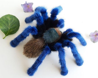 Peluche araignée taxidermie à monture souple, fausse taxidermie, tarentule bleue chromatique Chromatopelma cyaneopubescens