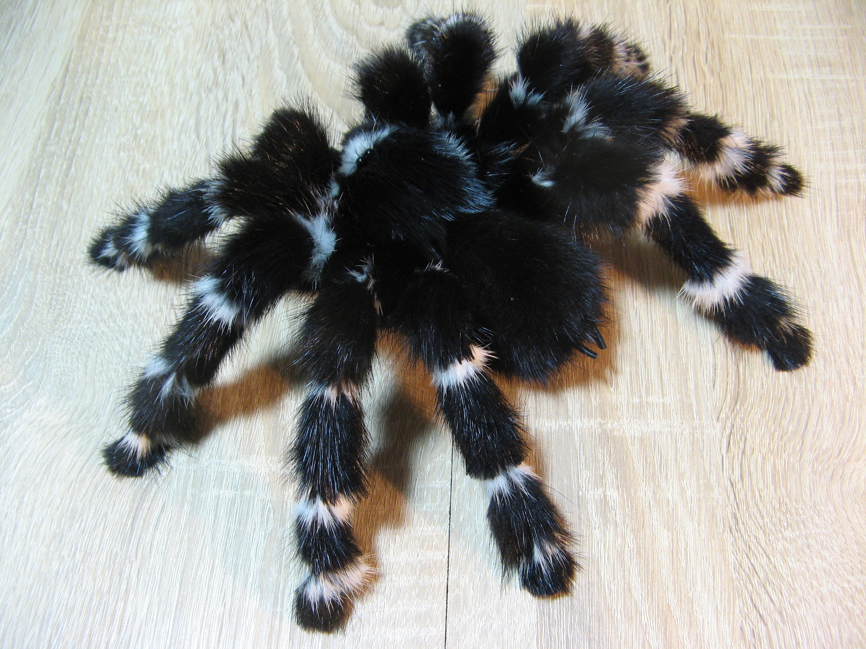 Striped Tarantula Art Doll Realistic Fake Tarantula Stuffed Etsy UK