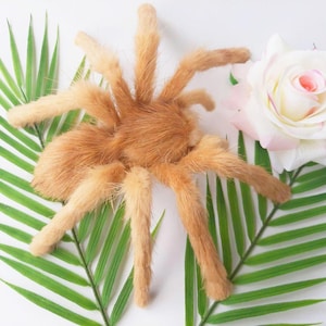May include: A plush, orange tarantula toy with long, furry legs, resting on green palm leaves. A white and pink rose is positioned nearby. The arrangement is set against a white background, creating a striking contrast.