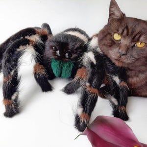 Énorme copain araignée sauteuse - Bizarre et mignonne peluche pour une décoration effrayante ou un soutien émotionnel, cadeau insecte articulé de 50 cm