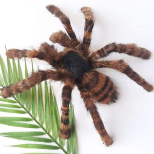 May include: A brown and black fuzzy spider toy with long legs. The spider is lying on a green palm leaf.