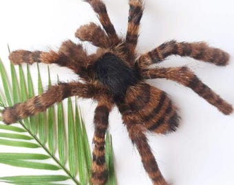 Poseable Spider Soft Sculpture, Odd Gift for Curiosity Collector, Insect Art for Wall Hanging or Shelf Display, Realistic Tarantula Replica