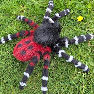 May include: A colourful plush spider toy. It features a black furry body, a red abdomen with black spots, and black legs with red and white stripes. The toy is set on green grass. A small yellow flower is also visible.