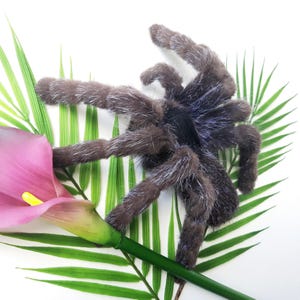 May include: A plush, brown tarantula with white accents, posed with a pink calla lily and green palm leaves against a white background. The spider's legs are outstretched, creating a dynamic composition. The overall theme is nature and wildlife.