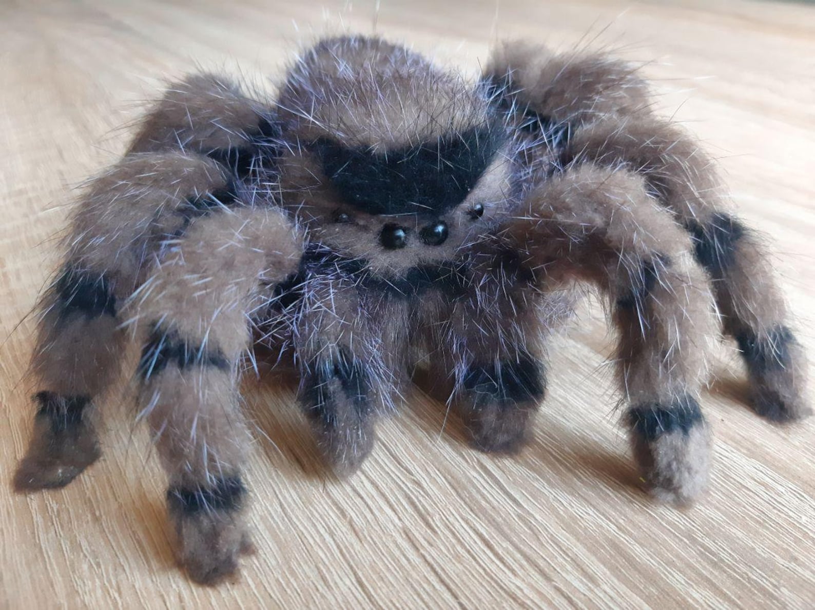 6 Jumping Spider Plush Posable Art Doll Animal Shelf | Etsy