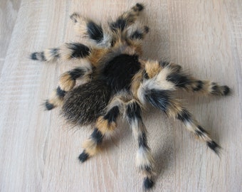 Realistic Tarantula Spider- Poseable Shelf Decor- Wall Mountable Faux Taxidermy Oddities and Curiosities- Insect Figurine- Realistic Animal