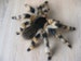 Realistic Tarantula Spider- Poseable Shelf Decor- Wall Mountable Faux Taxidermy Oddities and Curiosities- Insect Figurine- Realistic Animal 