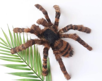 Raptorial Tarantula OOAK Spider Plush Realistic Stuffed Soft Wall Mount Faux Taxidermy Oddity Posable Art Doll Articulated