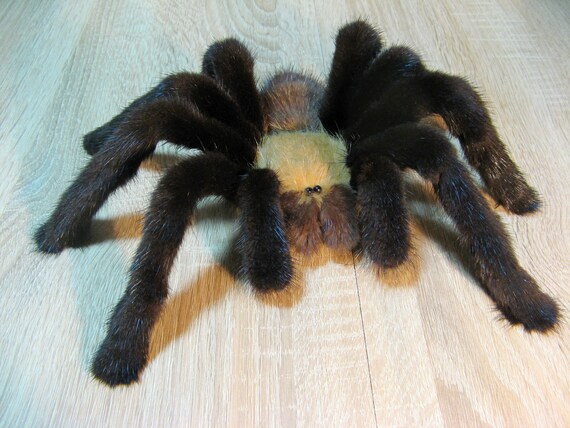stuffed tarantula