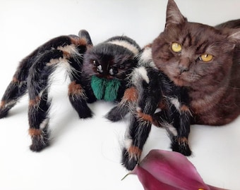 20" Jumping Spider OOAK Plush Doll Phidippus Regius Regal Weird Stuff Lifelike Stuffed Animals nature lover gift idea