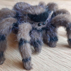 6&quot; Jumping Spider Plush-  Posable Art Doll Animal- Shelf Decor- Insect- Cute Fluffy Spider