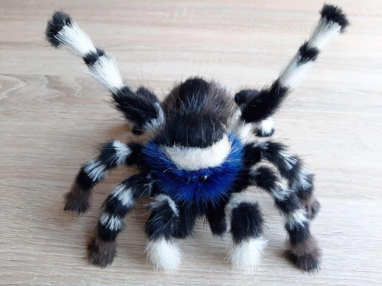 鳥*様 palace マウンテンパーカー 青 ブルー 蜘蛛 スパイダー 鳥*様 palace マウンテンパーカー 青 ブルー 蜘蛛 スパイダー