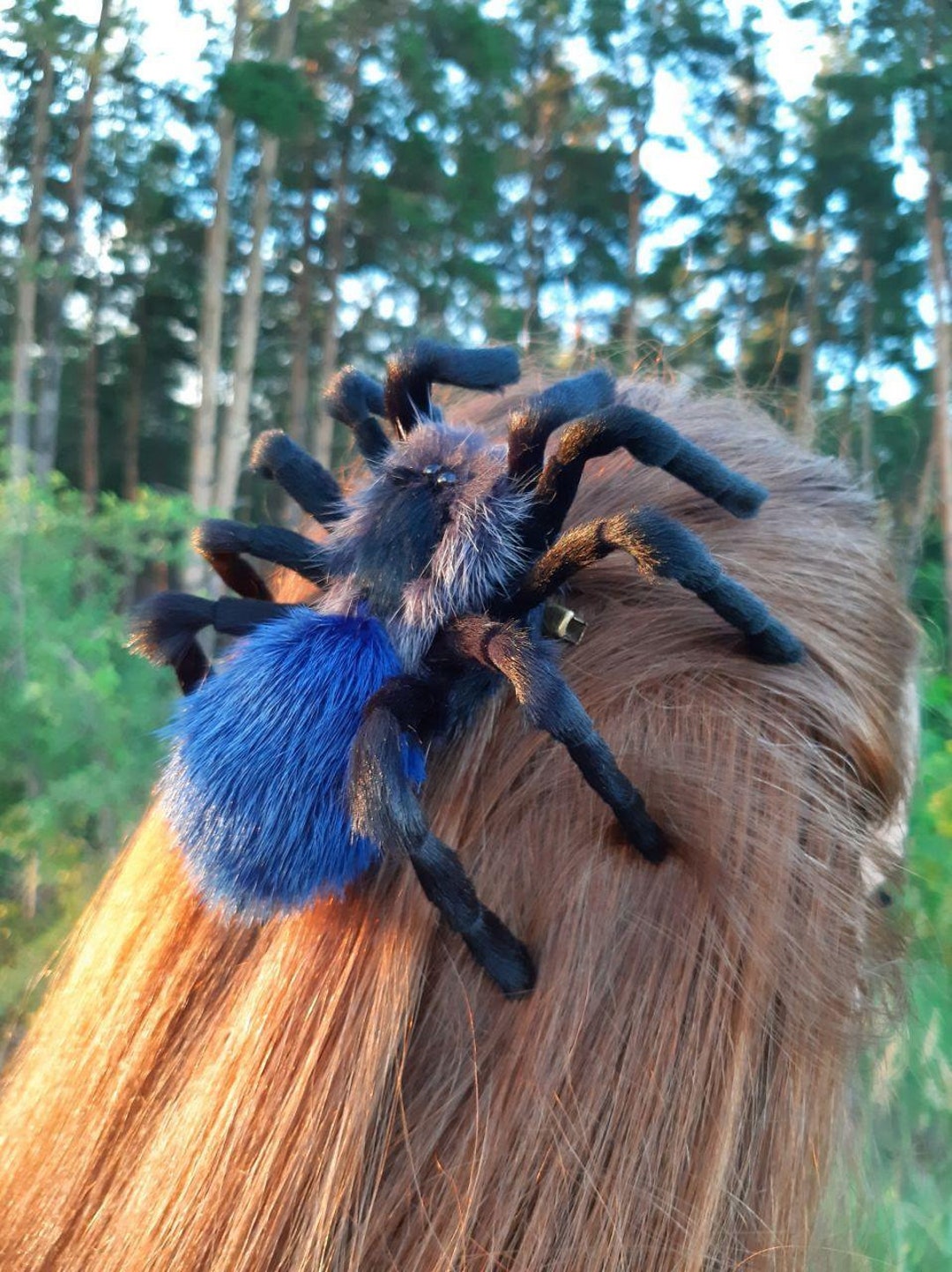 虫の女王のためのクモのヘアクリップ、魔女のヘアピン、ハロウィン