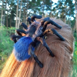 Spider Hair Clip Festival Accessories Insect Hairclip Witch Hairpin Gothic Jewelry Pin Slide Stick Bow Cosplay Party Haunted Mansion blue