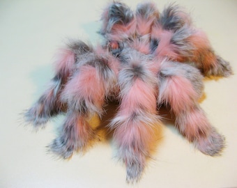 Spider Plush Tarantula Stuff Animal Fake Insect Pink Fluffy Scary Monster Halloween Wall Decor Faux Taxidermy