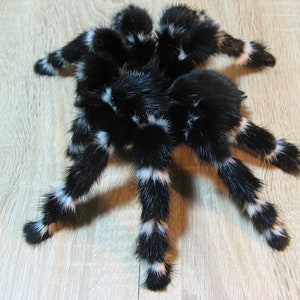 Striped Tarantula- Art Doll- Realistic Fake Tarantula- Stuffed Witch Plushie Gift Plush Insect Arachne Arachnid