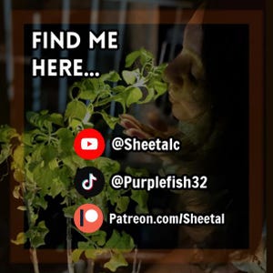 MONEY Oil - For Attraction of Money, Prosperity, Opportunities, Wealth & More. Charged with Prosperity Mantras image 5