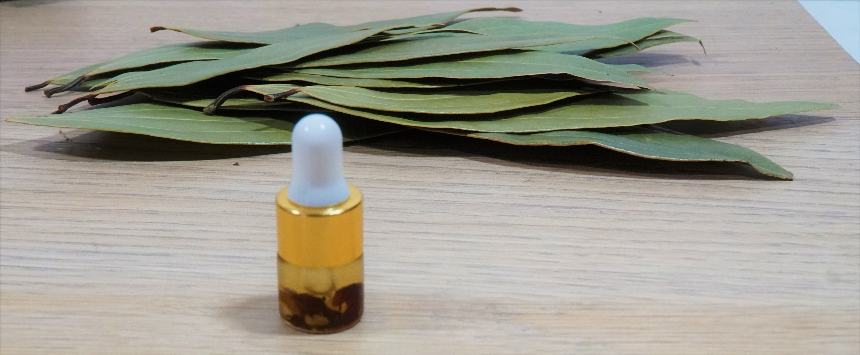 Bay Leaf MONEY Manifestation Kit 20 Whole Bay Leaves Etsy