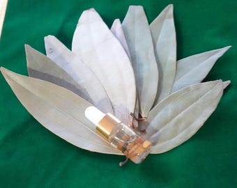 BAY LEAF PROSPERITY Kit - 20 Whole Bay Leaves + Money Oil