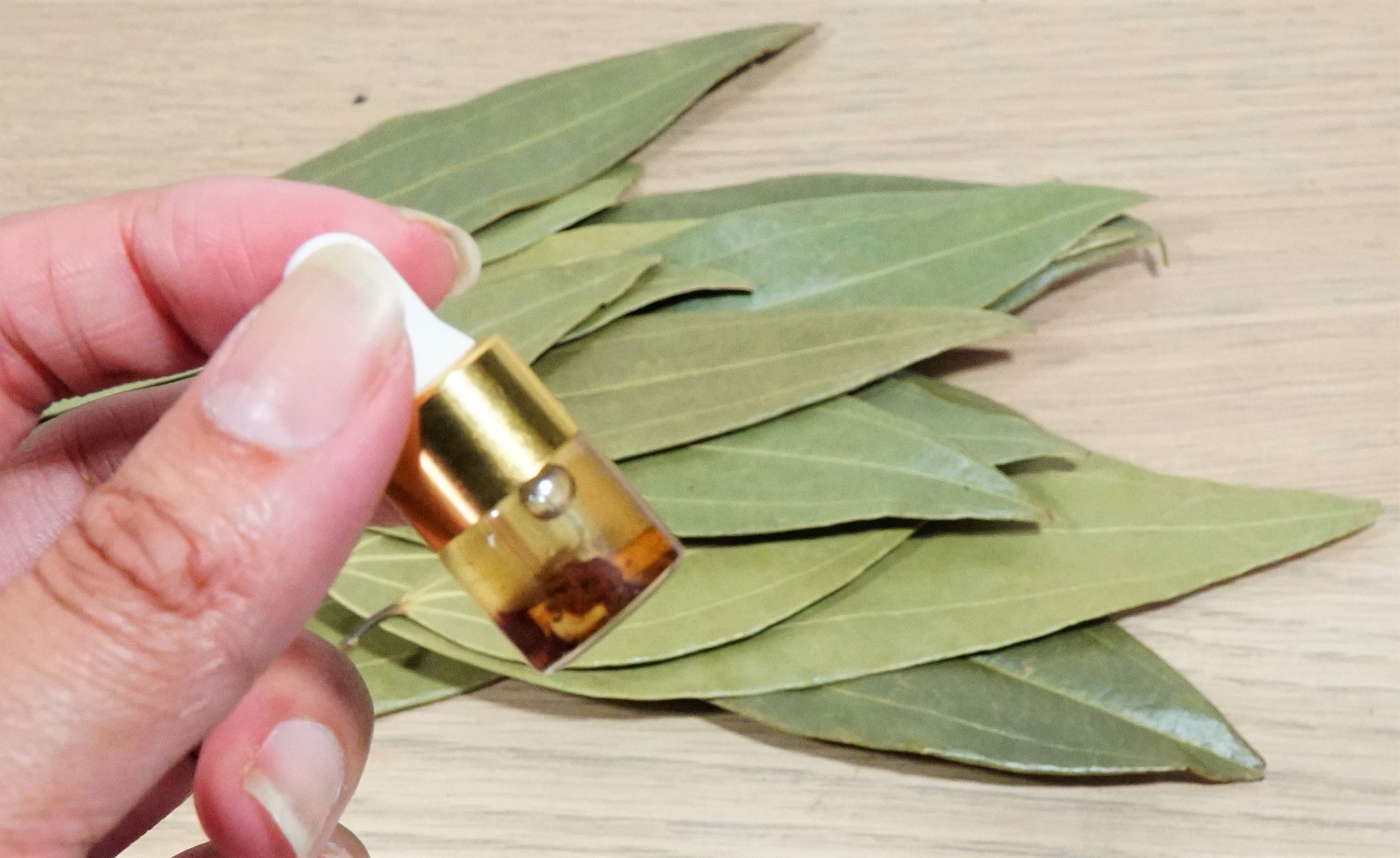 Bay Leaf MONEY Manifestation Kit 20 Whole Bay Leaves Etsy