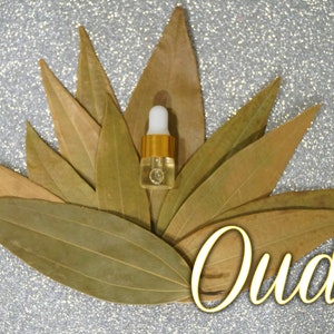 May include: A small bottle of Oud essential oil, with a gold cap and dropper, is displayed on a bed of dried bay leaves. The word "Oud" is written in gold script below the bottle.