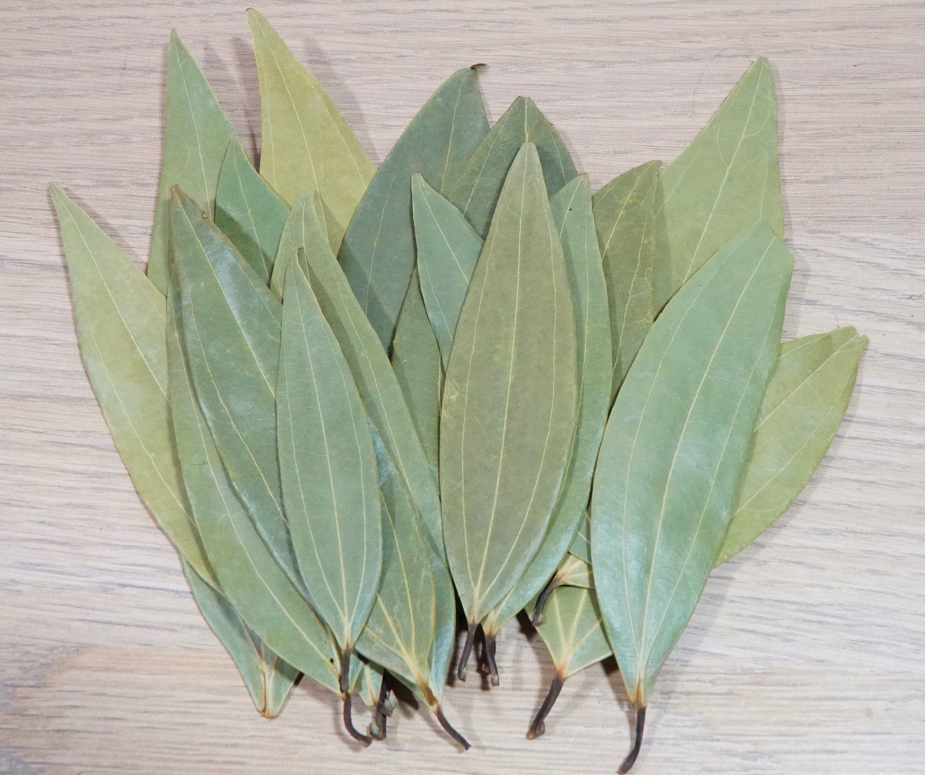 Bay Leaf MONEY Manifestation Kit 20 Whole Bay Leaves Etsy