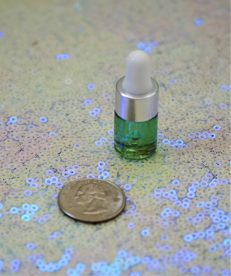 Bay Leaf DREAMS Kit 10 Whole Bay Leaves Dream Healing Oil Etsy
