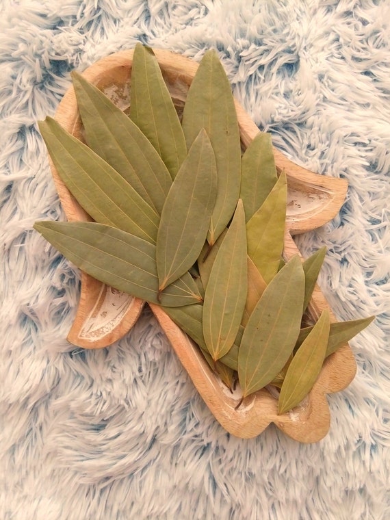 Bay Leaves 10 Whole Bay Laurel Leaves Etsy