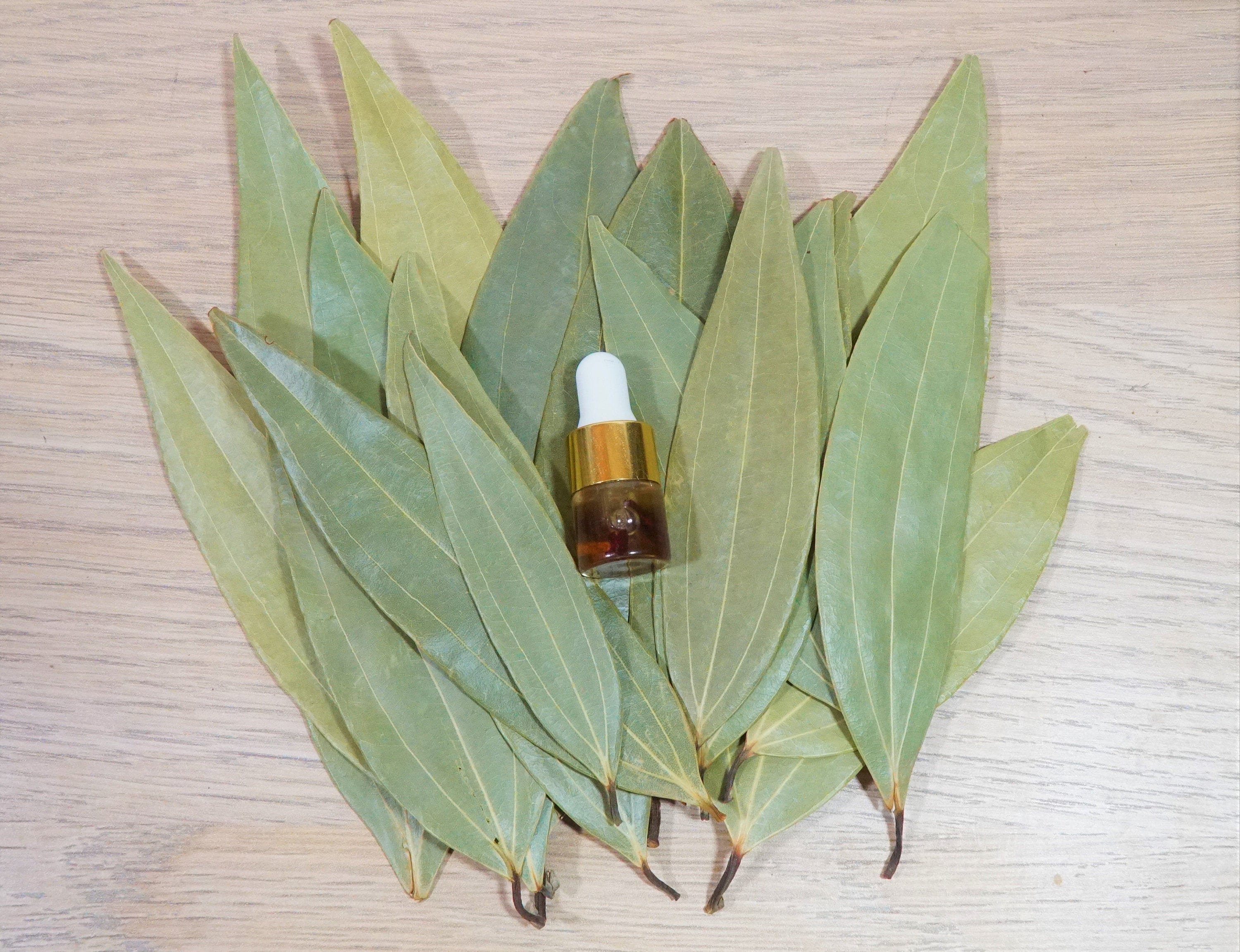Bay Leaf MONEY Manifestation Kit 20 Whole Bay Leaves Etsy